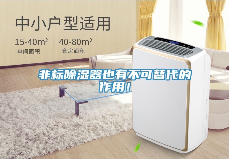 非標(biāo)除濕器也有不可替代的作用！