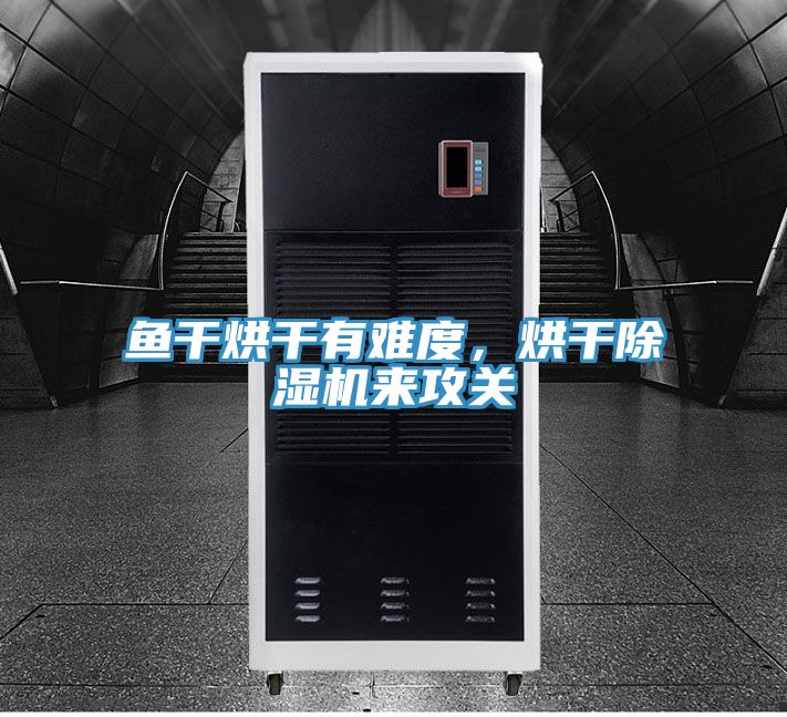 魚干烘干有難度，烘干除濕機(jī)來攻關(guān)