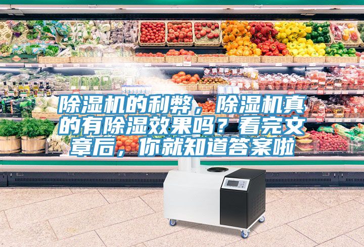 除濕機(jī)的利弊，除濕機(jī)真的有除濕效果嗎？看完文章后，你就知道答案啦