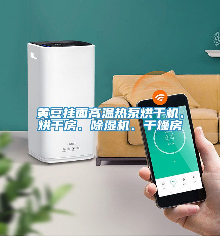 黃豆掛面高溫?zé)岜煤娓蓹C(jī)、烘干房、除濕機(jī)、干燥房