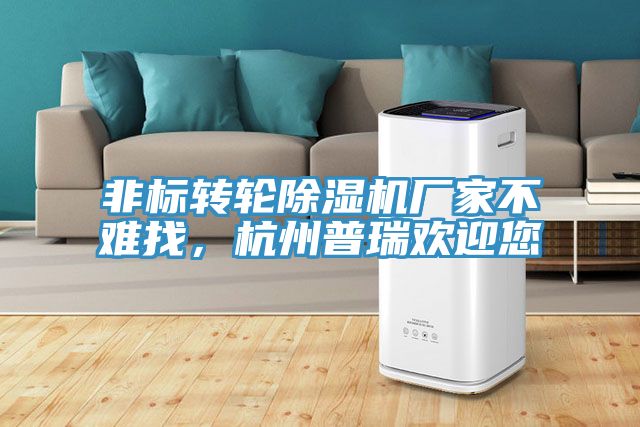 非標(biāo)轉(zhuǎn)輪除濕機廠家不難找，杭州普瑞歡迎您