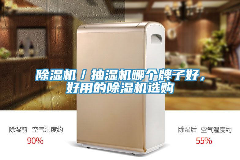 除濕機／抽濕機哪個牌子好，好用的除濕機選購