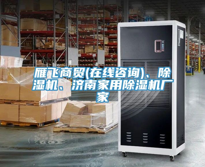 雁飛商貿(mào)(在線咨詢)、除濕機(jī)、濟(jì)南家用除濕機(jī)廠家