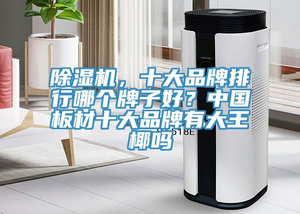 除濕機(jī)，十大品牌排行哪個(gè)牌子好？中國板材十大品牌有大王椰嗎