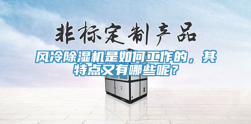 風冷除濕機是如何工作的，其特點又有哪些呢？