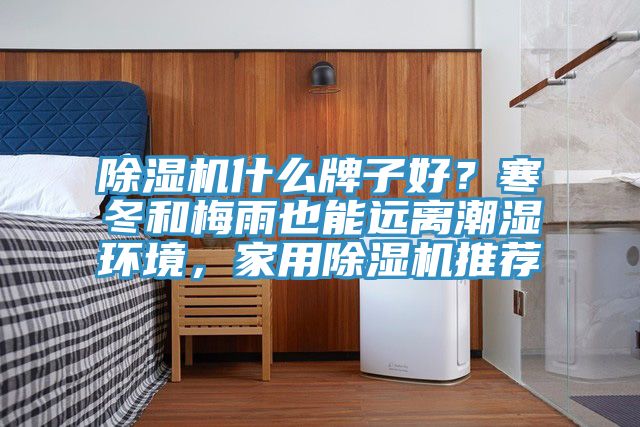 除濕機什么牌子好？寒冬和梅雨也能遠離潮濕環(huán)境，家用除濕機推薦