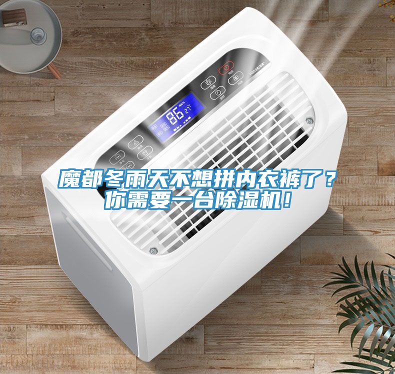 魔都冬雨天不想拼內(nèi)衣褲了？你需要一臺(tái)除濕機(jī)！