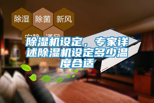 除濕機(jī)設(shè)定，專家詳述除濕機(jī)設(shè)定多少溫度合適
