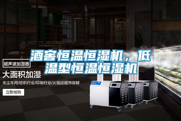 酒窖恒溫恒濕機，低溫型恒溫恒濕機