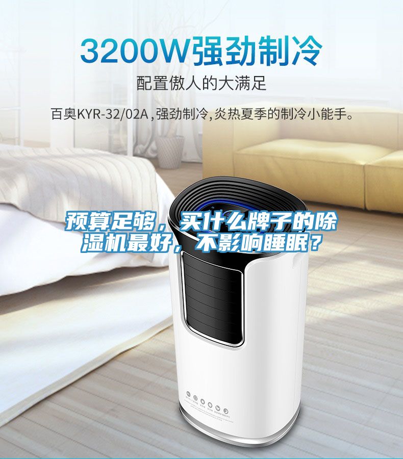 預(yù)算足夠，買什么牌子的除濕機(jī)最好，不影響睡眠？