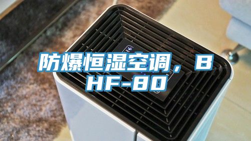 防爆恒濕空調(diào)，BHF-80