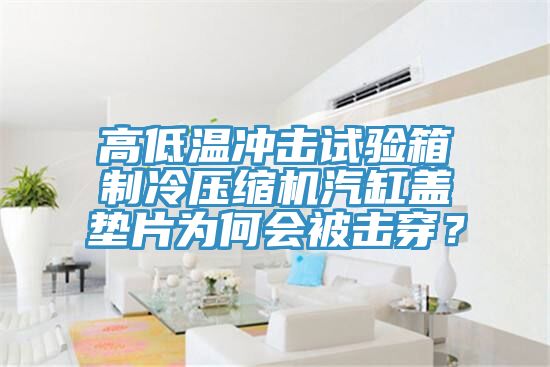 高低溫沖擊試驗箱制冷壓縮機汽缸蓋墊片為何會被擊穿？