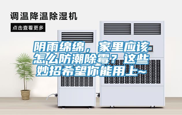 陰雨綿綿，家里應(yīng)該怎么防潮除霉？這些妙招希望你能用上~