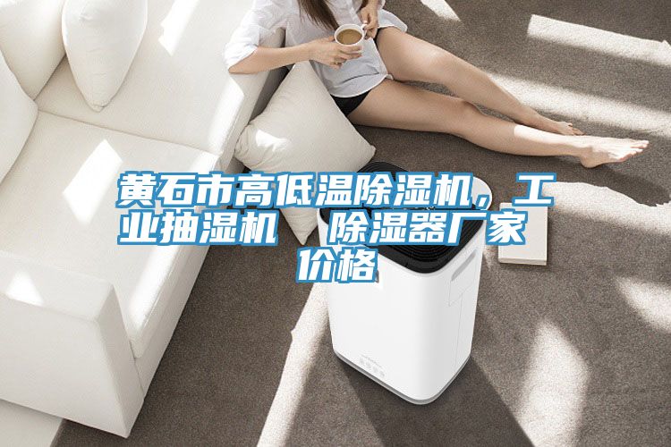 黃石市高低溫除濕機(jī)，工業(yè)抽濕機(jī)  除濕器廠家 價(jià)格
