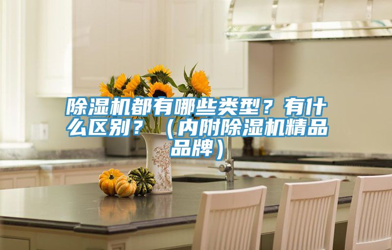 除濕機(jī)都有哪些類型？有什么區(qū)別？（內(nèi)附除濕機(jī)精品品牌）