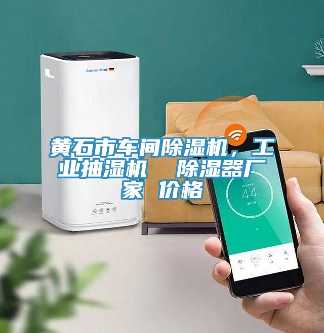 黃石市車間除濕機(jī)，工業(yè)抽濕機(jī)  除濕器廠家 價(jià)格