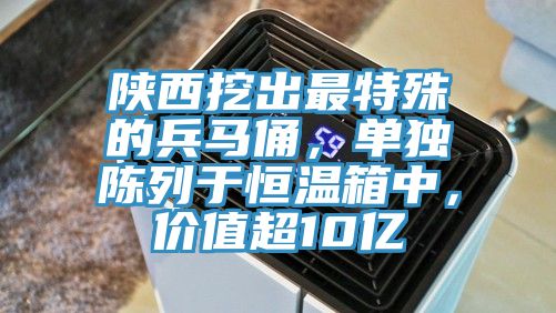 陜西挖出最特殊的兵馬俑，單獨陳列于恒溫箱中，價值超10億