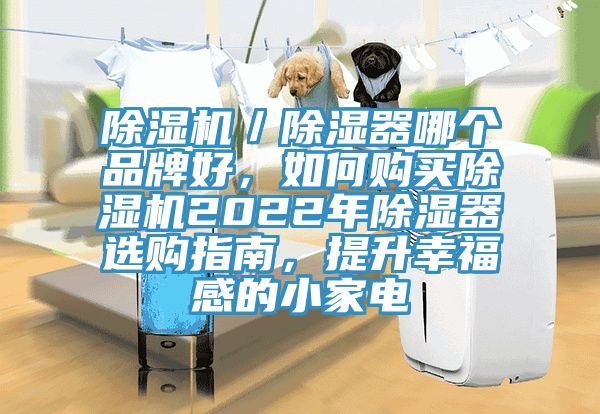 除濕機／除濕器哪個品牌好，如何購買除濕機2022年除濕器選購指南，提升幸福感的小家電