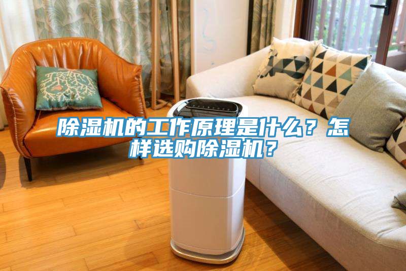 除濕機的工作原理是什么？怎樣選購除濕機？