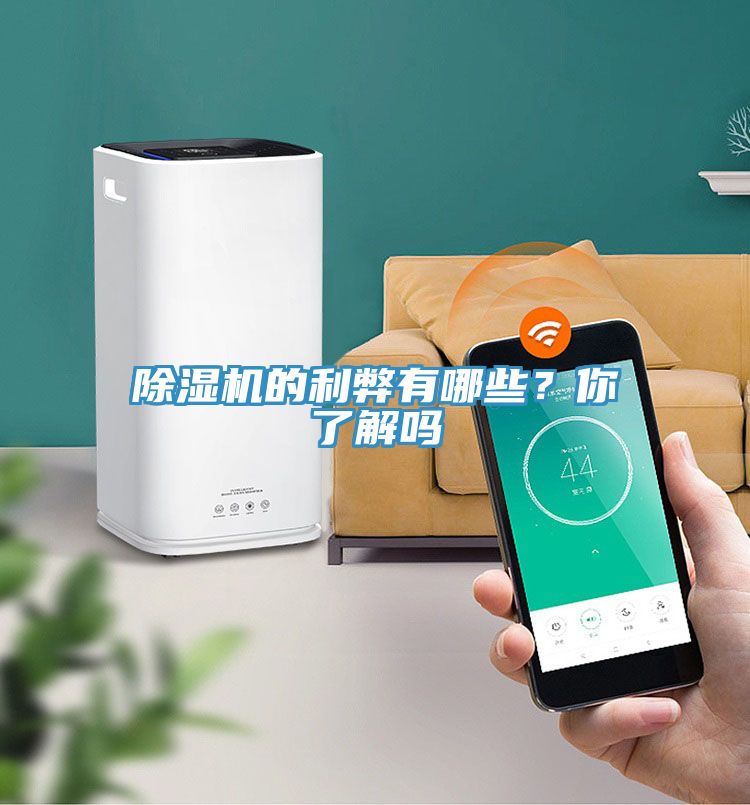 除濕機(jī)的利弊有哪些？你了解嗎
