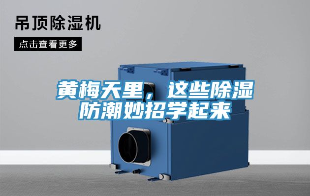 黃梅天里，這些除濕防潮妙招學(xué)起來