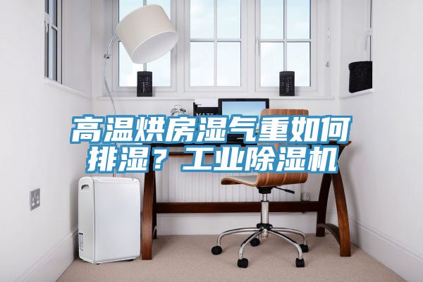 高溫烘房濕氣重如何排濕？工業(yè)除濕機