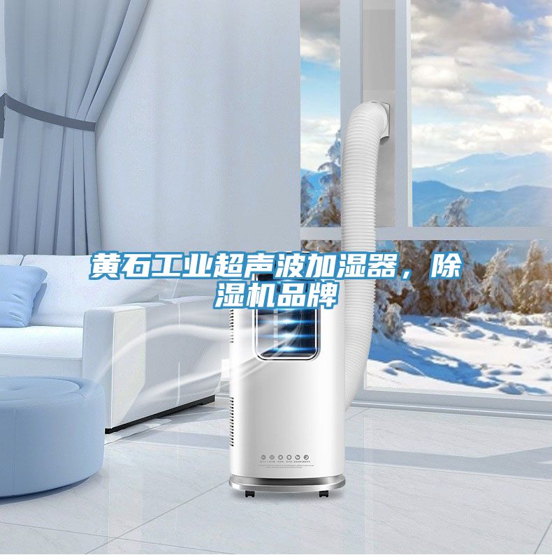 黃石工業(yè)超聲波加濕器，除濕機品牌
