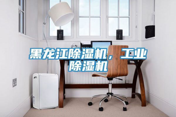 黑龍江除濕機(jī)，工業(yè)除濕機(jī)